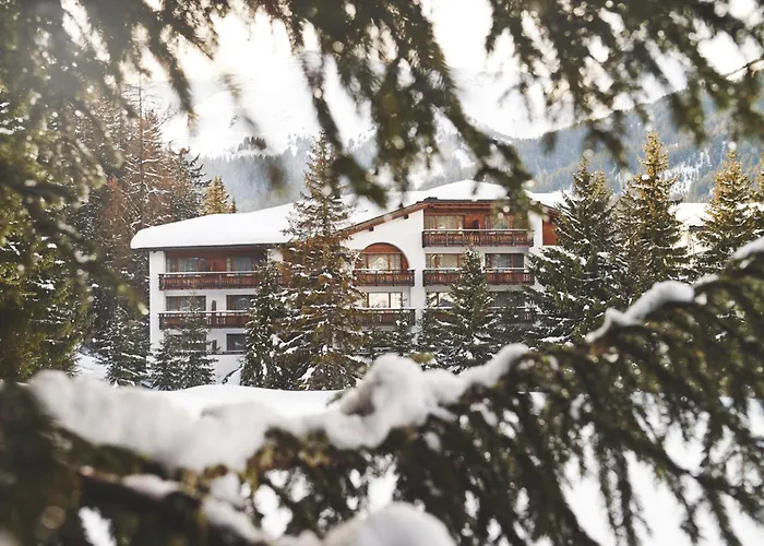 Waldhuus 4* 达沃斯